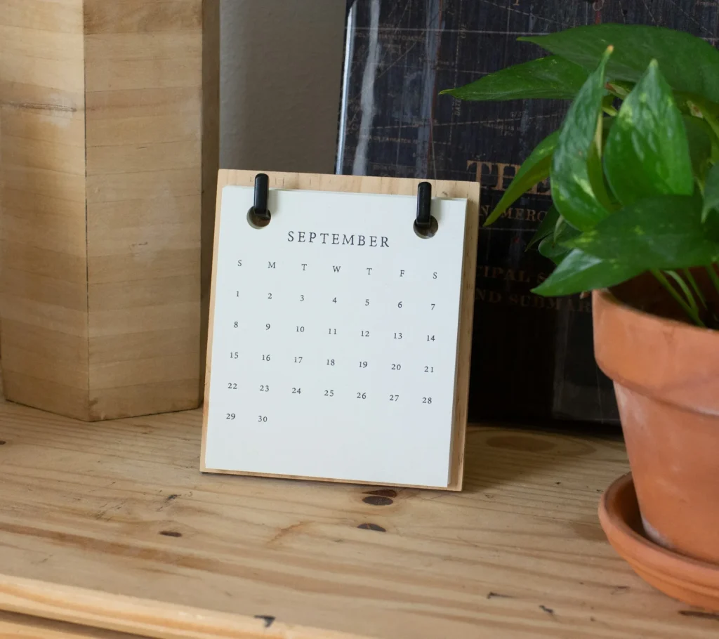 How to Use Notion's Color-Coded Calendar